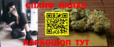 тгк Канаш