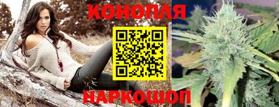 тгк Канаш